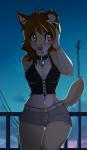 anthro belt bottomwear breasts brown_eyes brown_hair clothed clothing collar denim denim_bottomwear denim_clothing denim_shorts female hair hand_on_head heart_symbol midriff night open_mouth outside shorts sky solo standing star starry_sky wide_hips wolflady danika_(wolflady) canid canine canis domestic_dog mammal 2019 digital_media_(artwork) signature