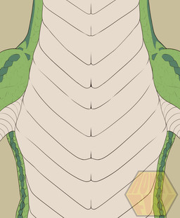claws feral fog golden_claws green_body green_scales ice magic magic_trick male orb scales simple_background solo water white_body white_scales honeyfly mythology dany_(danyphoros) dragon eastern_dragon mythological_creature mythological_scalie scalie animated