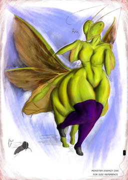 4_legs antennae_(anatomy) anthro arthropod_abdomen big_eyes breasts cerci_(anatomy) clothing compound_eyes female female_anthro feral insect_wings legwear mandibles monster_energy_can pseudo_pupils raptorial_(anatomy) rib_cage scared simple_background solo tall text thick_thighs thigh_highs wings alostcarolean kjar'lek_(alostcarolean) arthropod arthropod_taur fly_(animal) insect mantis taur absurd_res english_text hi_res huge_filesize signature