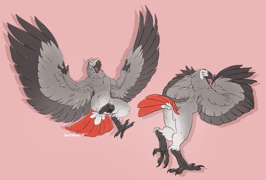 abstract_background african_grey_parrot anthro avian balls beak bird claws conditional_dnp digital_media_(artwork) feathers grey_feathers hindpaw looking_at_viewer looking_back male nude open_mouth parrot paws pink_background raised_tail rear_view sefeiren simple_background standing tongue wings zalgus
Rating: Explicit
Score: 7
User: otterface
Date: May 26, 2018 abstract_background african_grey_parrot anthro avian balls beak bird claws conditional_dnp digital_media_(artwork) feathers grey_feathers hindpaw looking_at_viewer looking_back male nude open_mouth parrot paws pink_background raised_tail rear_view sefeiren simple_background standing tongue wings zalgus
Rating: Explicit
Score: 7
User: otterface
Date: May 26, 2018
