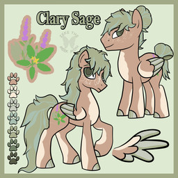 border brown_body cutie_mark feral freckles fur fur_markings green_border green_eyes green_hair hair hooves long_tail male mane markings multicolored_hair multicolored_mane quadruped solo standing tail tail_bun two_tone_hair two_tone_mane unguligrade wings blaze2012 hasbro my_little_pony mythology clary_sage_(blaze2012) equid equine mammal mythological_creature mythological_equine pegasus 1:1 absurd_res hi_res model_sheet