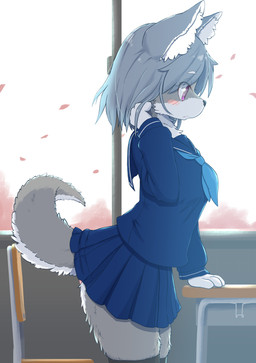anthro asian_clothing blue_hair bottomwear breasts chair cherry_blossom classroom clothed clothing countershading desk east_asian_clothing female female_anthro flower fluffy fluffy_tail fur furniture grey_body grey_fur grey_hair hair inner_ear_fluff japanese_clothing japanese_school_uniform kemono legwear multicolored_body multicolored_fur panties pink_clothing pink_panties pink_underwear plant prunus_(flower) purple_eyes school school_uniform short_hair skirt solo standing table tail tail_under_skirt thigh_highs tuft two_tone_body two_tone_fur underwear uniform white_body white_fur koorinezumi canid canine canis mammal wolf 2022 absurd_res digital_media_(artwork) hi_res translated_description