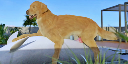 anal anal_orgasm anal_penetration animal_genitalia animal_penis bdsm bodily_fluids bondage bound bound_rostrum canine_genitalia canine_penis cetacean_genitalia cetacean_penis cowgirl_position cum cum_in_ass cum_inside cum_on_face cum_while_penetrated cumshot duo ejaculation erection feral feral_on_feral feral_penetrated feral_penetrating feral_penetrating_feral from_front_position genital_fluids genital_slit genitals grinding hands-free interspecies knot knotted_penis light_bondage looking_pleasured lying male male/male male_on_bottom male_on_top male_penetrated male_penetrating male_penetrating_male missionary_position multiple_orgasms multiple_positions on_back on_bottom on_top orgasm outside penetration penile penile_penetration penis penis_in_ass realistic_feral sex slit_penetration slit_play swimming_pool tapering_penis versatile trioami260 aquatic bird_dog canid canine canis cetacean dolphin domestic_dog golden_retriever hunting_dog mammal retriever toothed_whale 3d_(artwork) 3d_animation animated digital_media_(artwork) long_playtime loop sound video