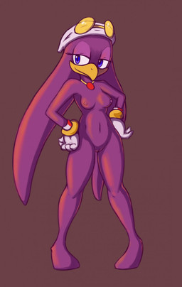 anthro areola bangle barefoot beak biped blue_eyes breasts brown_background clothing eyewear featureless_feet feet female front_view genitals glasses gloves gloves_only half-closed_eyes hands_on_hips handwear handwear_only jewelry kerchief mostly_nude narrowed_eyes navel necklace necklace_only nipples non-mammal_breasts non-mammal_nipples nude nude_anthro nude_female pink_areola pink_nipples purple_body purple_eyes purple_skin simple_background solo standing vulva yellow_beak rogone2 sega sonic_riders sonic_the_hedgehog_(series) wave_the_swallow avian bird hirundinid oscine passerine swallow_(bird) full-length_portrait hi_res portrait