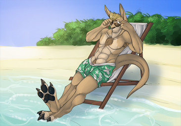 3_toes anthro armpit_hair athletic athletic_anthro athletic_male beach black_pawpads blue_sky body_hair brown_body brown_fur brown_tail bulge chest_hair clothed clothing eyewear feet fur glasses grey_clothing grey_topwear male male_anthro mouth_closed outside pawpads pubes reclining sky solo tail tinted_glasses toes topless topwear yellow_eyes solaxe_(artist) kangaroo macropod mammal marsupial