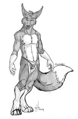 animal_genitalia anthro clothed clothing dipstick_tail front_view fully_sheathed genitals gloves_(marking) leg_markings looking_at_viewer male male_anthro markings mouth_closed sheath slim_anthro slim_male socks_(marking) solo standing tail tail_markings topless hufnaar canid canine mammal 2014 absurd_res dated full-length_portrait hi_res monochrome portrait sketch