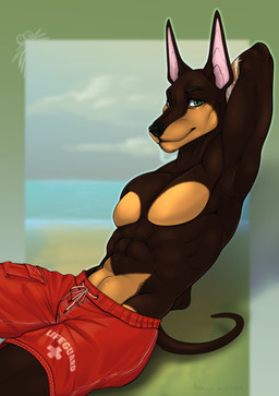 anthro athletic athletic_anthro beach clothed clothing lifeguard lifeguard_swimsuit male reclining solo suggestive swimming_trunks swimwear topless topless_male yeenshield sebastian_wolk canid canine canis dobermann domestic_dog mammal pinscher hi_res