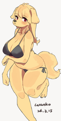 anthro bikini bikini_bottom bikini_top black_bikini black_clothing black_swimwear blonde_hair breasts clothing female fur hair looking_at_viewer on_one_leg red_eyes simple_background solo standing swimwear tail tan_body tan_fur two-piece_swimsuit white_background wanko0487 canid canine canis domestic_dog mammal 2024 absurd_res hi_res