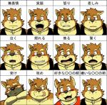 anthro blush emotion_chart kemono male muscular muscular_anthro muscular_male solo text shiba-kenta kenta_shiba_(character) canid canine canis domestic_dog mammal shiba_inu spitz japanese_text translated