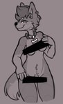 anthro biped breasts censor_bar collar covering ear_piercing ear_ring female female_anthro navel navel_piercing physical_censor_bar piercing pubes ring_piercing smug solo tail bag_of_lewds teri_(bag_of_lewds) canid canine mammal