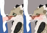 2_panel_comic animal_genitalia animal_penis anthro blush bodily_fluids canine_genitalia canine_penis close-up cum cum_in_mouth cum_inside cum_on_face duo fellatio female genital_fluids genitals internal internal_oral knot knotting male male/female muzzle_in_sheath oral oral_knotting oral_penetration penetration penile penis sex sheath sheath_play tongue tongue_out tongue_out_blowjob slvtshep lei_(releo) releo alaskan_malamute canid canine canis domestic_dog eurasian_lynx felid feline lynx mammal nordic_sled_dog spitz absurd_res hi_res