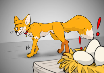 anatomically_correct animal_genitalia animal_penis anus balls barely_visible_genitalia barely_visible_penis barely_visible_sheath blush body_blush canine_genitalia canine_penis collar egg egg_in_mouth eggshell exclamation_point feral fox_behavior fur genitals looking_at_viewer male nature nest orange_body penis sheath simple_background solo stealing tail tan_body tan_fur tongue tongue_out whiskers raposanaranja chris_(raposanaranja) canid canine fox mammal absurd_res hi_res