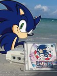 anthro beach blue_body blue_fur console fur green_eyes looking_back male one_eye_closed sitting smile text wink stupidale sega sega_dreamcast sonic_adventure sonic_the_hedgehog_(series) sonic_the_hedgehog eulipotyphlan hedgehog mammal 3:4 english_text hi_res signature