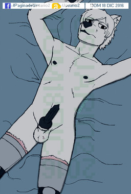 amputee animal_genitalia animal_penis anthro balls bed biped black_nose black_penis canine_genitalia canine_penis disability erection fur furniture genitals hair knot looking_at_viewer lying male nipples nude on_back penis prosthetic prosthetic_leg prosthetic_limb scar solo white_body white_fur white_hair usuario2 tord_vanister_(usuario2) canid canine canis domestic_dog husky mammal nordic_sled_dog spitz hi_res