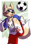 4_toes anthro ball blush clothing eyewear feet male mascot pawpads russia russian shirt soccer soccer_ball solo sport text text_on_clothing text_on_shirt text_on_topwear toes tongue topwear world_cup saku1saya fifa zabivaka canid canine canis mammal wolf 2016 absurd_res digital_media_(artwork) hi_res shaded