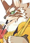 anthro black_nose brown_body brown_fur drinking drinking_straw fur gold_(metal) gold_jewelry green_eyes jewelry looking_at_viewer male multicolored_body multicolored_fur solo striped_body striped_fur stripes white_body white_fur nokia1124_a lifewonders tokyo_afterschool_summoners seth_(tas) canid canine canis jackal mammal 2023 hi_res