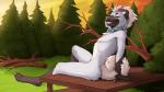 2017 anthro barefoot biped blue_bow blue_ribbon canid canine canis casual_nudity claws closed_smile day detailed_background digitigrade domestic_dog evergreen_tree eyebrows eyelashes feet flat_chested floppy_ears fluffy fluffy_tail forest fur grass grey_nose hair half-closed_eyes husky kero_tzuki light male mammal mouth_closed multicolored_body multicolored_fur multicolored_sky narrowed_eyes neck_bow neck_ribbon nipples nordic_sled_dog nude orange_sky outside paws pine_tree pink_eyes plant prick_ears ribbons shadow signature sitting sky slim small_waist smile snout solo spitz sunlight sunset tail teeth tree wofurie yellow_sky