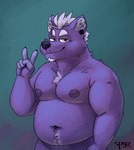 anthro belly belly_tuft biceps big_biceps biped black_nose chest_tuft chin_tuft deep_navel ear_piercing facial_tuft fur gesture hair hand_gesture inner_ear_fluff male moobs musclegut muscular navel nipples nude overweight overweight_male piercing pose purple_body purple_fur simple_background smile smirk solo spiky_hair tuft unnatural_colors v_sign white_hair spyz_(artist) kodi_(spyz) canid canine mammal 2022 digital_drawing_(artwork) digital_media_(artwork) half-length_portrait hi_res pinup portrait shaded watermark