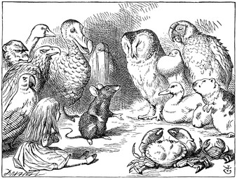 ambiguous_gender beak border clothed clothing female feral group hair tail white_border young young_female young_human john_tenniel alice_in_wonderland alice_(alice_in_wonderland) accipitrid accipitriform anatid anseriform anserine arthropod avian bird columbid crab crustacean decapod dodo duck eagle goose human malacostracan mammal murid murine owl parrot rat recently_extinct_species rodent 1865 19th_century ancient_art hi_res monochrome traditional_media_(artwork)