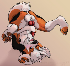 animal_genitalia animal_penis anthro balls barefoot biped black_nose blue_eyes blush bodily_fluids brown_pawpads canine_genitalia canine_penis claws cum cum_on_face cum_on_own_face cum_on_self erection feet genital_fluids genitals hindpaw knot male masturbation pawpads paws penile penile_masturbation penis shoulder_stand solo text toe_claws upside_down skylardoodles canid canine canis domestic_dog mammal 2015 artist_name dated digital_media_(artwork) shaded