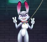 alec8ter anthro buckteeth collar collar_tag conditional_dnp dipstick_ears disney female flat_chested front_view genitals gesture hand_gesture hi_res huebris judy_hopps lagomorph leash leporid looking_at_viewer mammal multicolored_ears nude open_mouth pussy rabbit smile solo teeth text v_sign zootopia