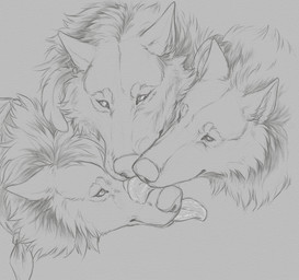 ambiguous_gender feathers feral fluffy french_kissing fur group group_kissing kissing licking neck_tuft scarf tongue trio tuft yaroul canid canine canis mammal wolf black_and_white hi_res monochrome sketch