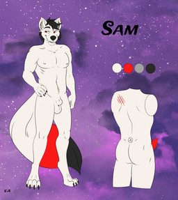 4_toes 5_fingers animal_genitalia animal_penis anthro arms_bent balls bangs biped black_claws black_eyebrows black_nose black_tail_tip butt canine_genitalia canine_penis claws cloud collarbone color_swatch digitigrade dipstick_tail erection eyebrows fangs feet fingers fluffy fluffy_tail fur fur_markings genitals grey_inner_ear_fluff hair hand_on_hip hand_on_own_hip inner_ear_fluff lidded_eyes long_tail male male_anthro markings medium_butt multicolored_tail nipples nude nude_anthro nude_male pecs penis purple_sky red_markings red_penis red_tail short_hair sky solo tail tail_markings teeth text three-quarter_view toes toothy_grin tuft white_balls white_body white_fur white_nipples white_tail evilangel_art sam_(evilangel_art) canid canine mammal 2023 character_name digital_drawing_(artwork) digital_media_(artwork) english_description english_text flat_colors hi_res model_sheet signature