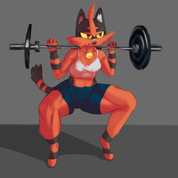 anthro black_body black_fur black_stripes blue_bottomwear blue_clothing blue_shorts bottomwear cheek_tuft clothing exercise facial_tuft female front_view fur grey_background inner_ear_fluff markings open_mouth orange_eyes red_body red_fur shorts simple_background snaggle_tooth solo striped_markings striped_tail stripes tail tail_markings thick_thighs topwear tuft weightlifting white_clothing white_nose white_topwear wide_hips workout yellow_sclera monjja nintendo pokemon generation_7_pokemon pokemon_(species) torracat hi_res