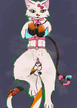 accessory animal_genitalia animal_penis bell bell_collar bow_ribbon collar dirty dirty_fur disembodied_hand feline_genitalia feline_penis femboy feral furgonomics genitals ghost_hand hair_accessory hair_bow hair_ribbon harness leashed_harness leashed_male male musk musky_penis on_display penis presenting ribbons smelly_penis solo steamy_penis tail tail_accessory tail_bow tail_ribbon thatcatjj jj_(thatcatjj) domestic_cat felid feline felis mammal absurd_res hi_res