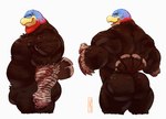 anthro back_muscles barazoku beak big_butt big_muscles blue_body blue_feathers butt feathers featureless_crotch male multicolored_body multicolored_feathers musclegut muscular muscular_anthro muscular_male nude pecs rear_view red_body red_feathers side_view simple_background slightly_chubby solo tail tail_feathers white_background toastyfuzzbuns avian bird galliform phasianid turkey 2022 absurd_res digital_media_(artwork) hi_res multiple_images portrait three-quarter_portrait