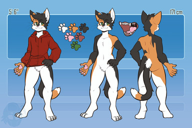 anthro clothed clothing male null partially_clothed solo hornykayptid kayptid hunter_(hhdrawer) calico_cat domestic_cat felid feline felis mammal 3:2 hi_res model_sheet