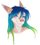 anthro blue_eyes braided_hair eyebrows eyelashes female female_anthro hair looking_at_viewer smile solo dafka fish marine shark digital_media_(artwork) headshot_portrait hi_res portrait