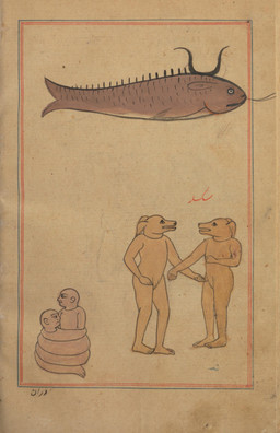 2_horns ambiguous_feral ambiguous_gender anthro apode biped coiling feet feral fin floppy_ears folded_ears fur group horn human_faced_feral humanoid_face humanoid_feet humanoid_hands legless male male_anthro naturally_censored nude nude_anthro nude_male plantigrade restrained scales serpentine side_view simple_background standing tan_body tan_fur text unknown_artist marvels_of_creation public_domain aquatic canid canine canis domestic_dog draconcopode fish human mammal naga reptile scalie snake 17th_century absurd_res ancient_art gouache_(artwork) hi_res painting_(artwork) persian_text traditional_media_(artwork) traditional_painting_(artwork)