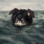 anthro black_hair black_nose cloud cloudy_sky hair male sea sky solo water white_eyes limbo6_6 limbo_(limbo6_6) border_collie canid canine canis collie domestic_dog herding_dog mammal pastoral_dog sheepdog 1:1 absurd_res hi_res