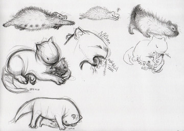 3_toes alarmed animal_genitalia annoyed anus ass_up butt butt_lick claws cunnilingus duo face_lick feet female feral feral_on_feral fluffy genitals guard_hair hairless holding_animal holding_another licking long_tail long_tongue male male/female multi_nipple needy nipples nub_tail oral pawpads paws playing pregnant pregnant_female pregnant_feral presenting presenting_hindquarters presenting_vulva round_head sex sharp_teeth short_legs short_muzzle short_tail small_ears small_eyes smile surprised tail teats teeth thick_tail toes tongue upside_down vaginal vulva whiskers jacqal caden_(jacqal) courtney_(jacqal) mammal musteloidea 2025 absurd_res graphite_(artwork) hi_res multiple_scenes sketch sketch_page traditional_media_(artwork)