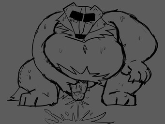anthro belly big_belly bodily_fluids cum ejaculation genital_fluids male mature_male moobs overweight overweight_male solo standing bencomedion beastly_crimes beastly_crimes_(2024) chief_badger badger mammal mustelid musteline 2026 4:3 hi_res monochrome