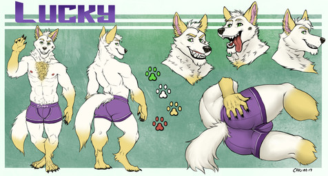 abs anthro bottomwear bulge butt butt_focus clothed clothing dipstick_tail front_view fur gloves_(marking) green_eyes grin hair leg_markings lying male male_anthro markings nipples on_side open_mouth open_smile pecs purple_bottomwear purple_clothing rear_view red_nipples short_hair simple_background smile socks_(marking) solo tail tail_markings topless white_body white_fur white_hair yellow_markings chumbasket lucky_(lucky_shep) canid canine mammal 2019 absurd_res dated hi_res model_sheet signature