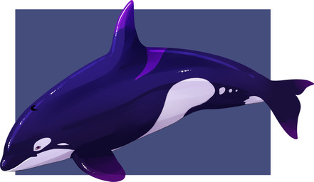 ambiguous_gender blue_background blue_body border dorsal_fin feral fin forked_tail looking_at_viewer mouth_closed purple_body purple_eyes side_view simple_background solo tail unsigned unusual_anatomy unusual_tail white_body white_border swampjaws aquatic cetacean dolphin mammal oceanic_dolphin orca toothed_whale absurd_res full-length_portrait hi_res portrait