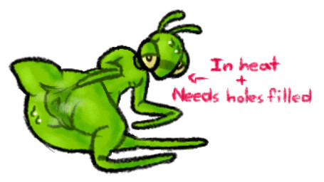anthro anus bodily_fluids green_body in_heat male musk presenting presenting_anus solo sweat text hhbrother manny_(hhbrother) arthropod insect mantis english_text
