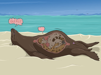 abdominal_bulge animal_genitalia anthro anthro_pred anthro_prey anus belly big_belly bra burping clothing duo eyes_closed feet female female_anthro female_pred female_prey feral feral_pred fur genitals inside_stomach internal lying male male_feral male_pred markings membrane_(anatomy) multiple_pred multiple_prey on_back outside penis penis_tip recursive_vore sand sea sheath short_tail soft_vore spots spotted_body spotted_fur tail toes underwear vore water webbed_feet whiskers x-ray_view strega callie_(strega) ambient_bird cheetah felid feline mammal marine pinniped sea_lion hi_res