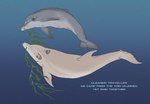 ambiguous_gender duo female feral gradient_background mammary_slits seaweed simple_background text vagabond_(artist) call_(vagabond) cetacean dolphin mammal marine toothed_whale english_text