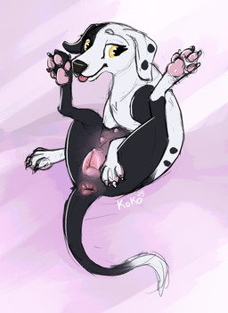 animal_genitalia animal_vulva anus black_body black_fur canine_genitalia canine_vulva feet female feral flexible fur genitals hindpaw legs_up markings multi_nipple nipples orange_eyes pawpads paws pink_anus pink_nipples pink_pawpads pink_vulva raised_paw solo spots spotted_body spotted_fur spread_legs spreading tongue tongue_out vulva white_body white_fur queenkoko jess_(kinaj) bird_dog canid canine canis dalmatian domestic_dog hunting_dog labrador mammal mixed_breed retriever hi_res