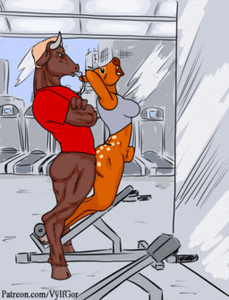 abdominal_bulge ambiguous_penetration anthro black_nose breasts duo erection exercise female female_penetrated fitness genitals larger_male male male/female male_penetrating male_penetrating_female penetration penis sex size_difference smaller_female smaller_penetrated trainer training unusual_position vylfgor bovid bovine cattle cervine deer mammal 2020 2d_animation animated animated_gif frame_by_frame loop low_res short_playtime