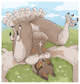 accident accidental_exposure anthro belly belly_overhang big_butt border breast_squish breasts butt chia_dirtballrun feathers featureless_breasts feet female genitals medium_breasts non-mammal_breasts nude slightly_chubby solo squish tail tail_feathers talons toes upside_down vaginal vulva white_border wings dirtballrun avian bird great_horned_owl horned_owl owl true_owl absurd_res hi_res