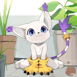 anthro clothing fangs female fur gloves handwear looking_at_viewer simple_background sitting smile solo tail teeth white_body white_fur bitesizedcookie yupa bandai_namco digimon digimon_(species) felid gatomon mammal 1:1 digital_media_(artwork) hi_res