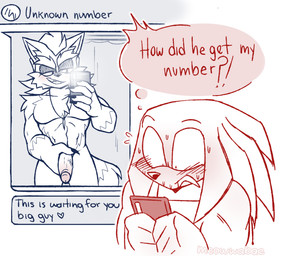 anthro blush cellphone duo electronics genitals holding_object holding_penis holding_phone humanoid_genitalia humanoid_penis male male/male muscular muscular_male pecs penis phone sexting smartphone text texting meowwabae sega sonic_the_hedgehog_(series) knuckles_the_echidna canid canine canis echidna mammal monotreme wolf 2022 digital_drawing_(artwork) digital_media_(artwork) english_text restricted_palette