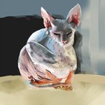 ambiguous_gender eyes_closed feral grey_body grey_skin hairless pink_body pink_skin realistic solo naircat domestic_cat felid feline felis hairless_cat mammal sphynx_(cat) 1:1 2014 digital_media_(artwork) digital_painting_(artwork) painting_(artwork)