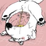 balls butt canine dog fur headstand male mammal open_mouth peeing peeing_in_mouth peeing_inside penis pink_background plain_background sansh small_penis toilet urine watersports white_fur
Rating: Explicit
Score: -4
User: Wyvrn
Date: January 09, 2014