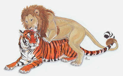 collar duo entwined_tails feral feral_on_feral fur inner_ear_fluff jewelry key licking lock male male/male necklace orange_eyes padlocked_collar simple_background striped_body striped_fur stripes tail tail_coil tail_tuft tongue tongue_out tuft white_background ebonytigress felid lion mammal pantherine tiger