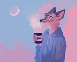 anthro beverage blue_clothing blue_hoodie blue_topwear cheek_tuft clothing container cup facial_tuft fur head_tuft holding_beverage holding_container holding_cup holding_object hoodie male moon outside sky solo steam topwear tuft yearnperish moses_(samur_shalem) canid canine canis coyote mammal 2021 digital_drawing_(artwork) digital_media_(artwork)